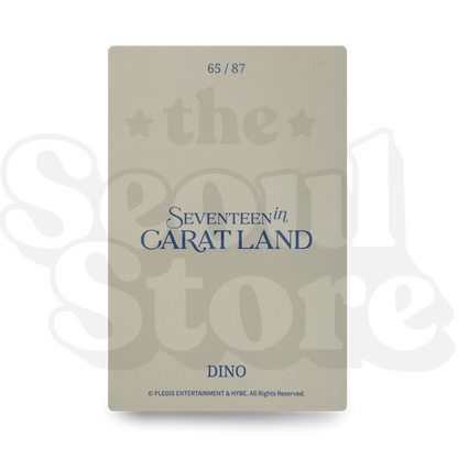 [PHOTOCARD] SEVENTEEN - SEVENTEEN IN CARATLAND