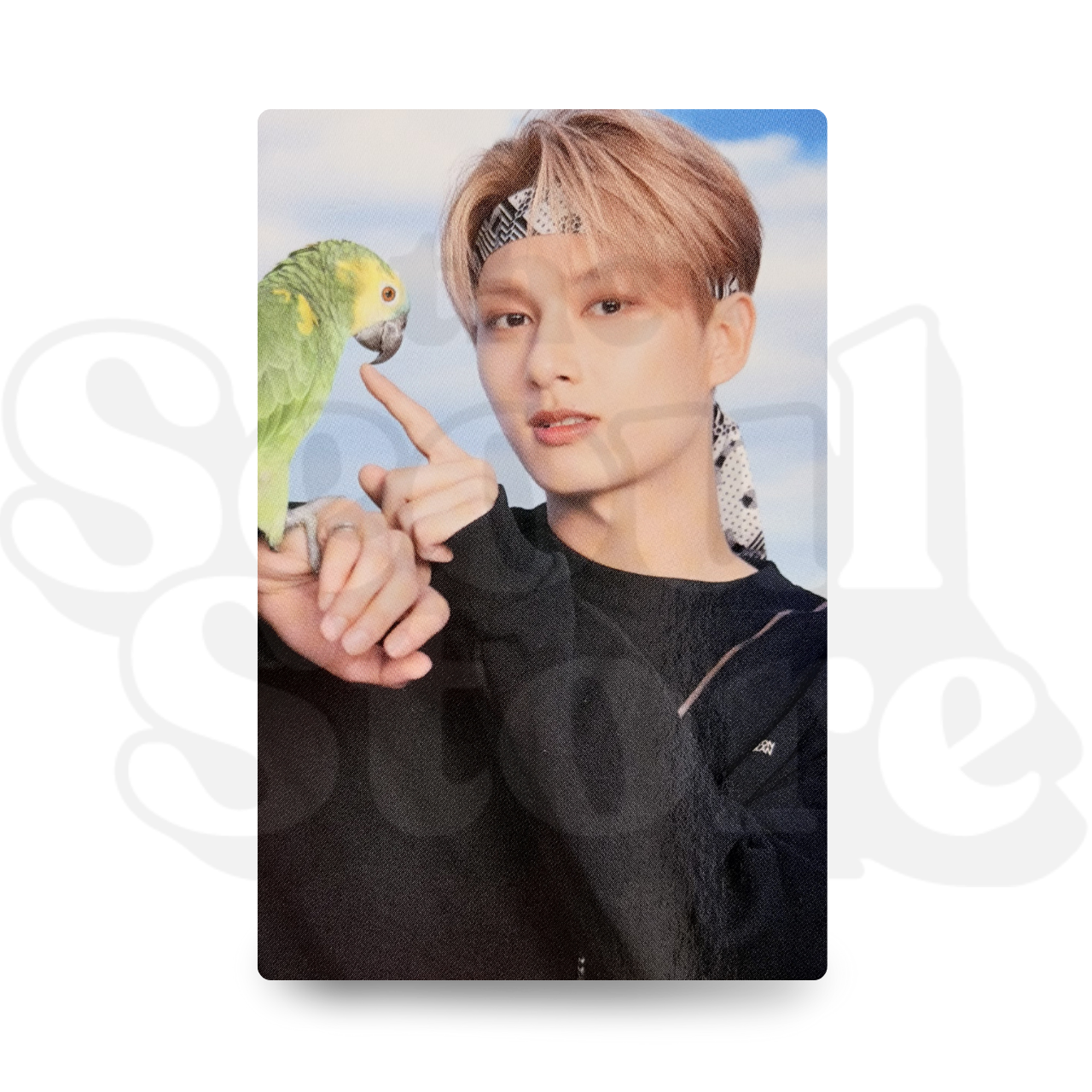 [PHOTOCARD] SEVENTEEN - DICON VER. JUN