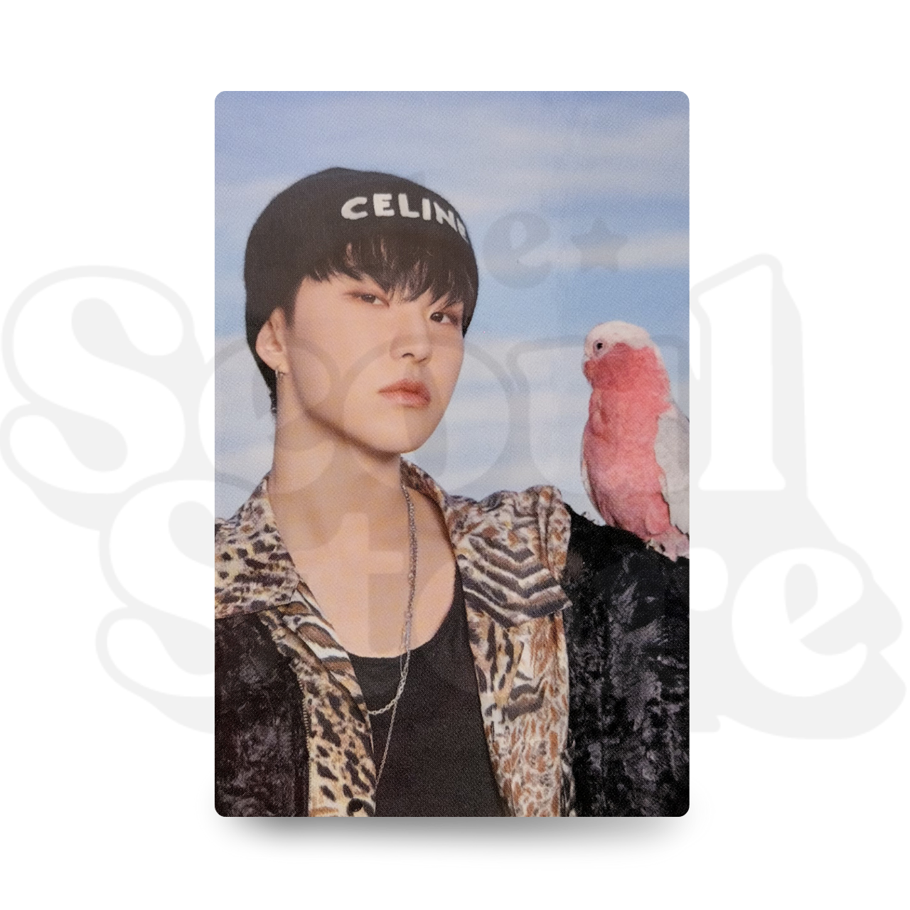 [PHOTOCARD] SEVENTEEN - DICON VER. HOSHI