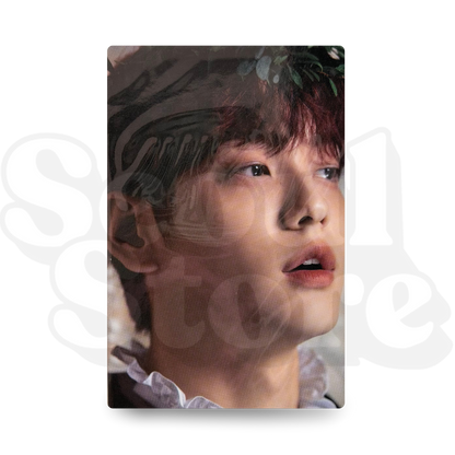 [PHOTOCARD] TXT - DICON VER. SOOBIN