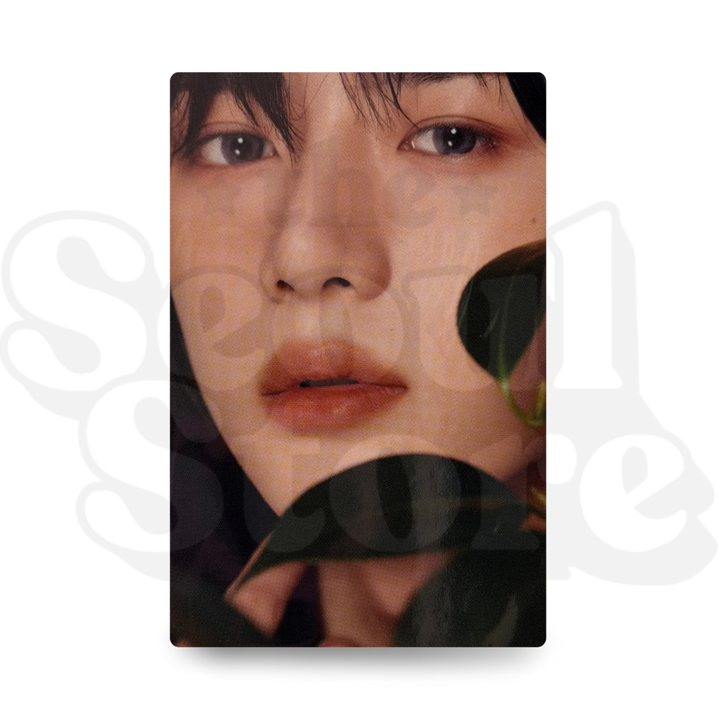 [PHOTOCARD] TXT - DICON VER. BEOMGYU