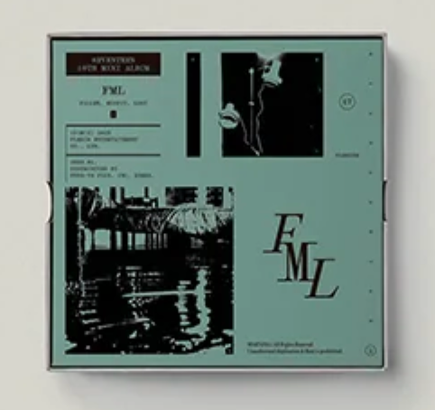 SEVENTEEN - FML