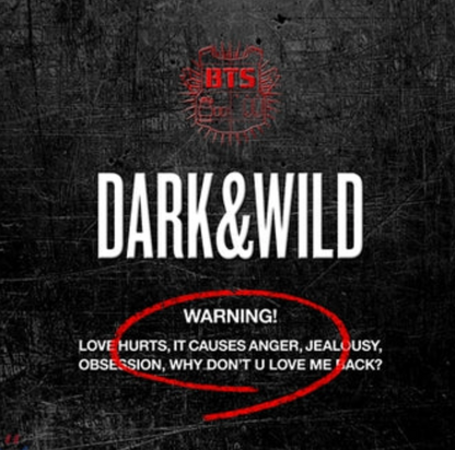 BTS - DARK&WILD
