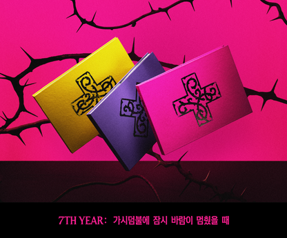 TXT - 7TH YEAR: 가시덤불에 잠시 바람이 멈췄을 때 (PHOTOBOOK)