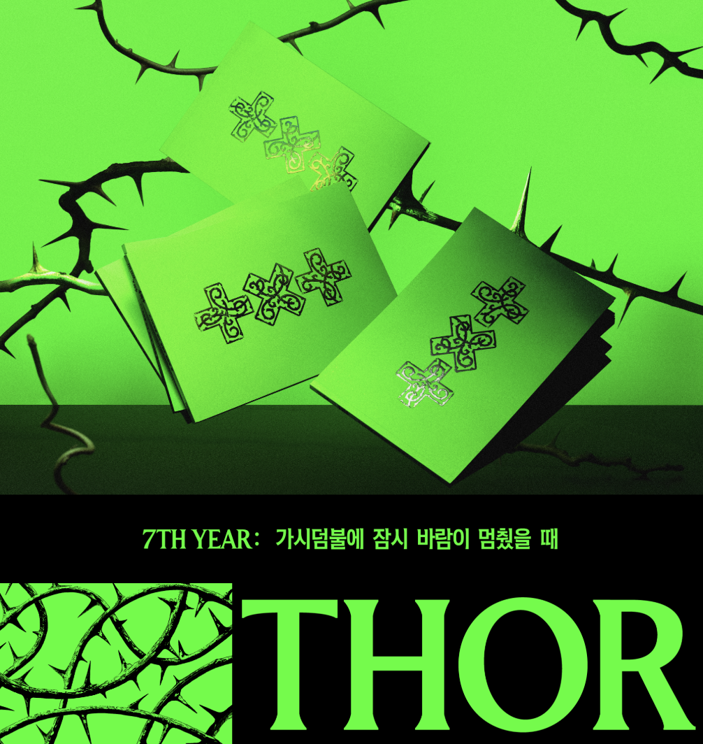 TXT - 7TH YEAR: 가시덤불에 잠시 바람이 멈췄을 때 (THORN Ver.)