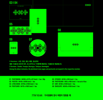 TXT - 7TH YEAR: 가시덤불에 잠시 바람이 멈췄을 때 (THORN Ver.)